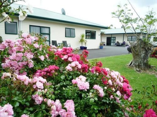 Coromandel Court Motel Экстерьер фото